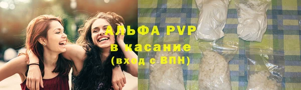 ПСИЛОЦИБИНОВЫЕ ГРИБЫ Балабаново